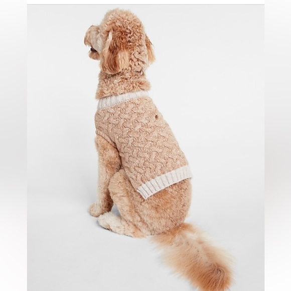 Express Cable Knit Dog Sweater - Picture 3 of 8
